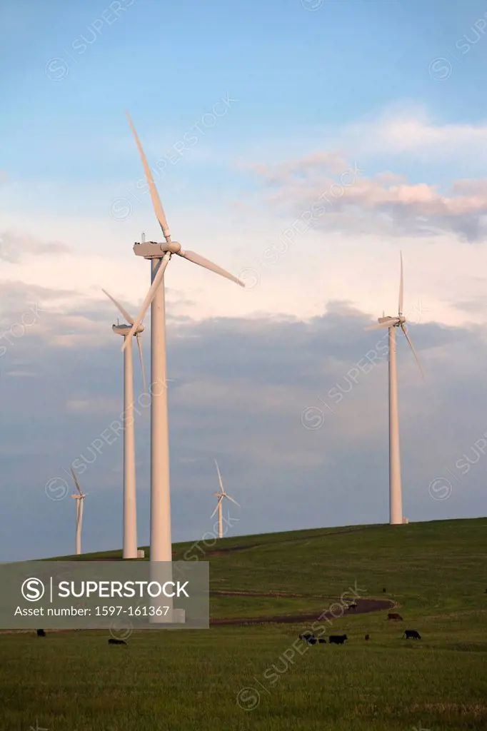 Wind Power, wind, power, energy, clean energy, green energy, clean, green, natural, windmills, turbines, wheat, agriculture, farm, farming, food, Oreg...