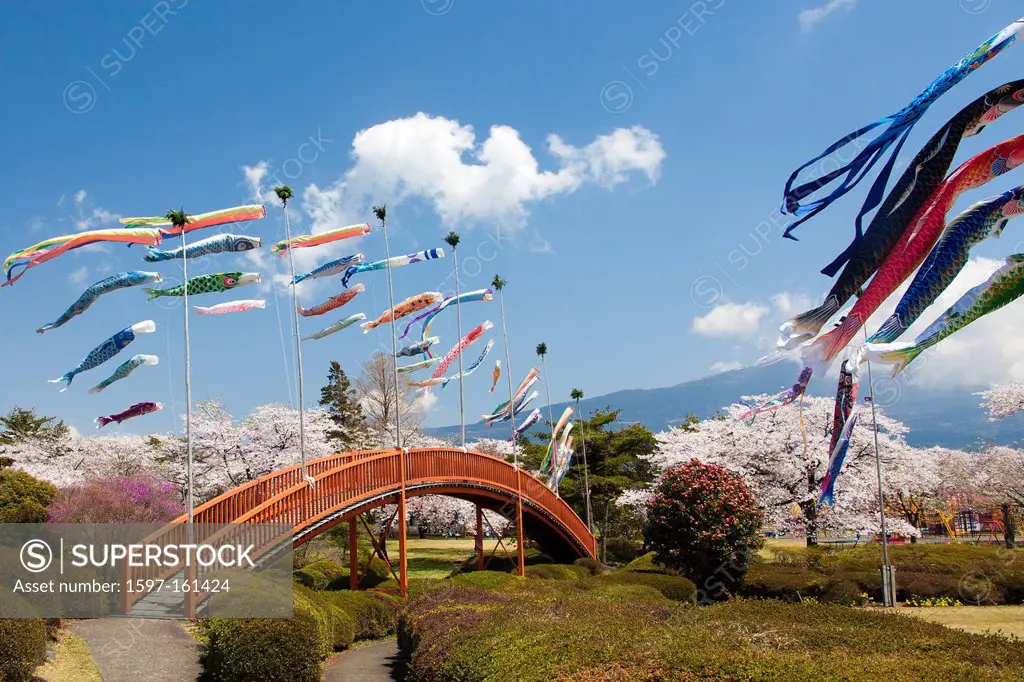 Japan, Asia, holiday, travel, Koinobori, Children Festival, spring, volcano, garden, flag, carp, streamer, Japanese, garden, bridge