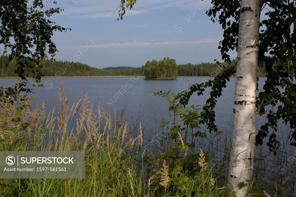 Scandinavia, Finland, north, Europe, Northern Europe, country, travel, vacation, lake, lakes, wood, forest, island, water, Karelia, birches, trees