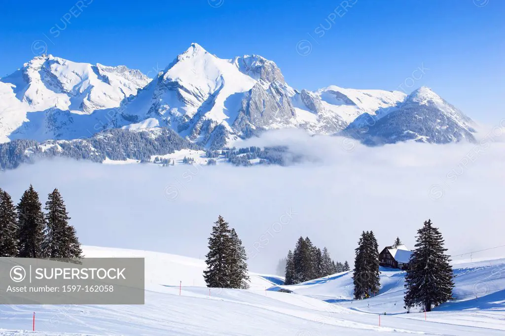 In 2502 ms, Alps, Alpstein, Alpstein area, Altmann, Appenzell, view, mountain, mountain panorama, mountains, mountain panorama, trees, Chäserrugg, mou...