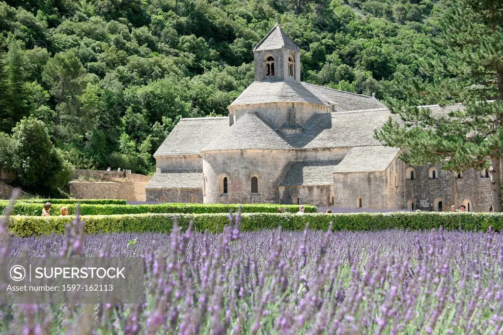 France, Europe, Provence, Abbaye Notre Dame de Sénanque, Senanque, cloister, abbey, lavender, lavender field
