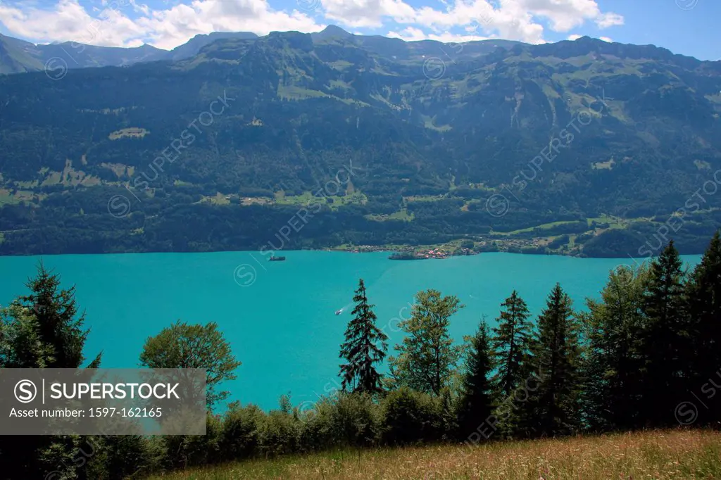 Switzerland, Europe, canton, Bern, Bernese Oberland, Brienzersee, Iseltwald, lake, firs, mountains, wood, forest,
