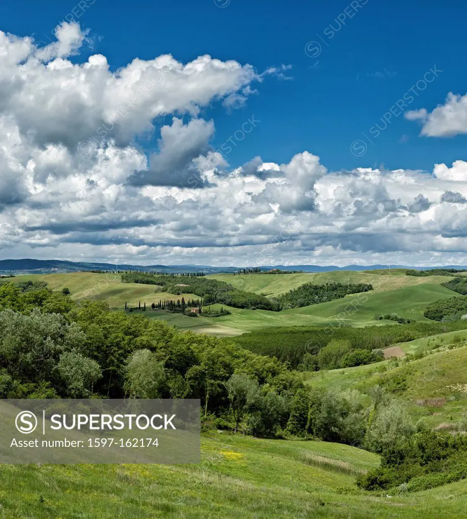 Buonconvento, Italy, Europe, Tuscany, Toscana, fields, scenery, green, clouds, hills