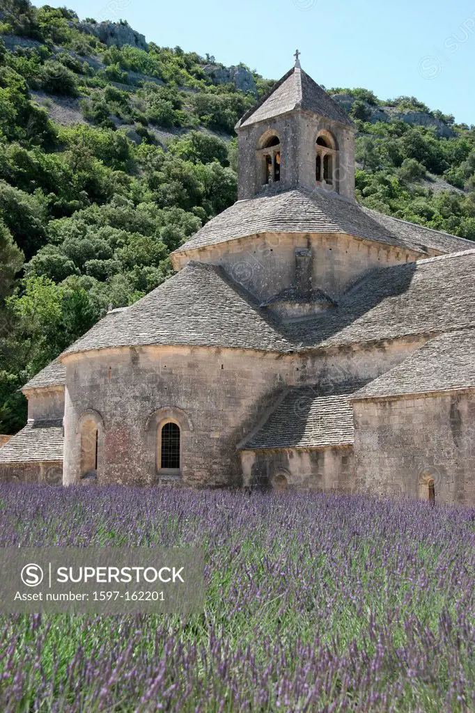 France, Europe, Provence, Abbaye Notre Dame de Sénanque, Senanque, cloister, abbey, lavender, lavender field