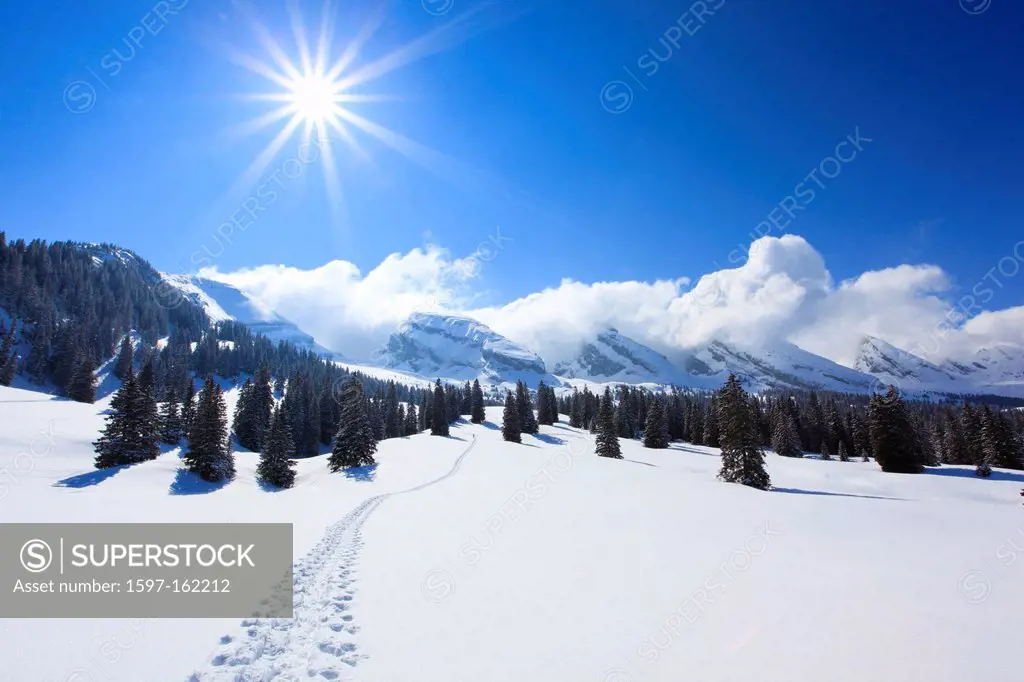Alp, Alp Sellamatt, Alps, view, mountain, mountain panorama, mountains, mountain panorama, trees, Churfirsten, footprints, mountains, back light, sky,...