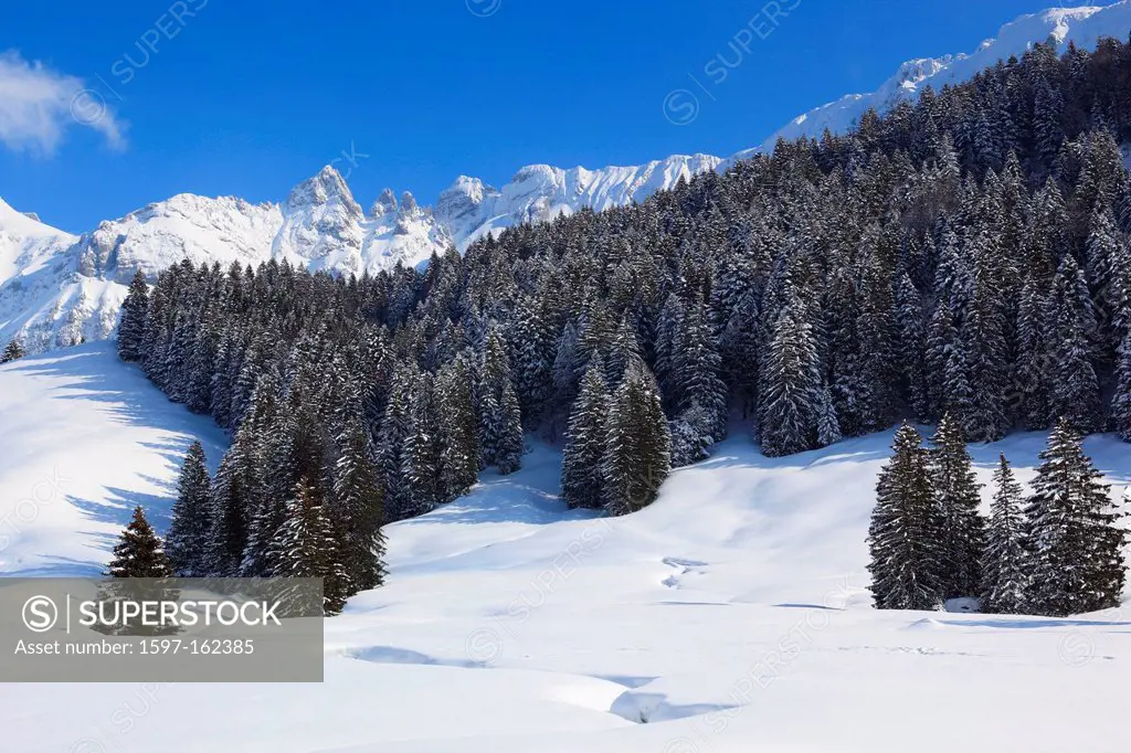 Alp, Alps, Alpstein, Alpstein area, Appenzell, view, mountain, mountain panorama, mountains, mountain panorama, trees, mountains, sky, massif, panoram...