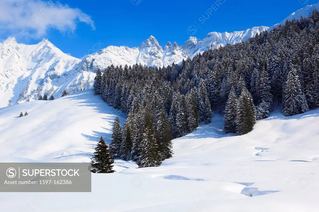 Alp, Alps, Alpstein, Alpstein area, Appenzell, view, mountain, mountain panorama, mountains, mountain panorama, trees, mountains, sky, massif, panoram...
