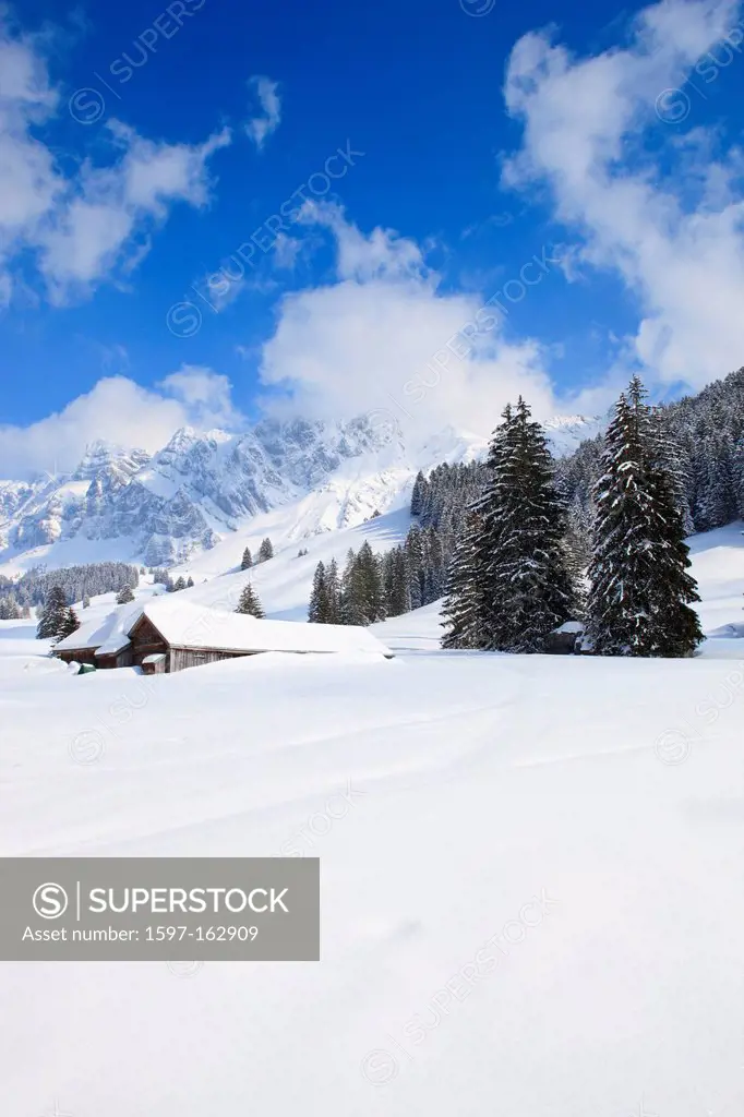 In 2502 m, Alp, Alps, Alpstein, Alpstein area, Appenzell, view, mountain, mountain panorama, mountains, mountain panorama, trees, mountains, sky, mass...