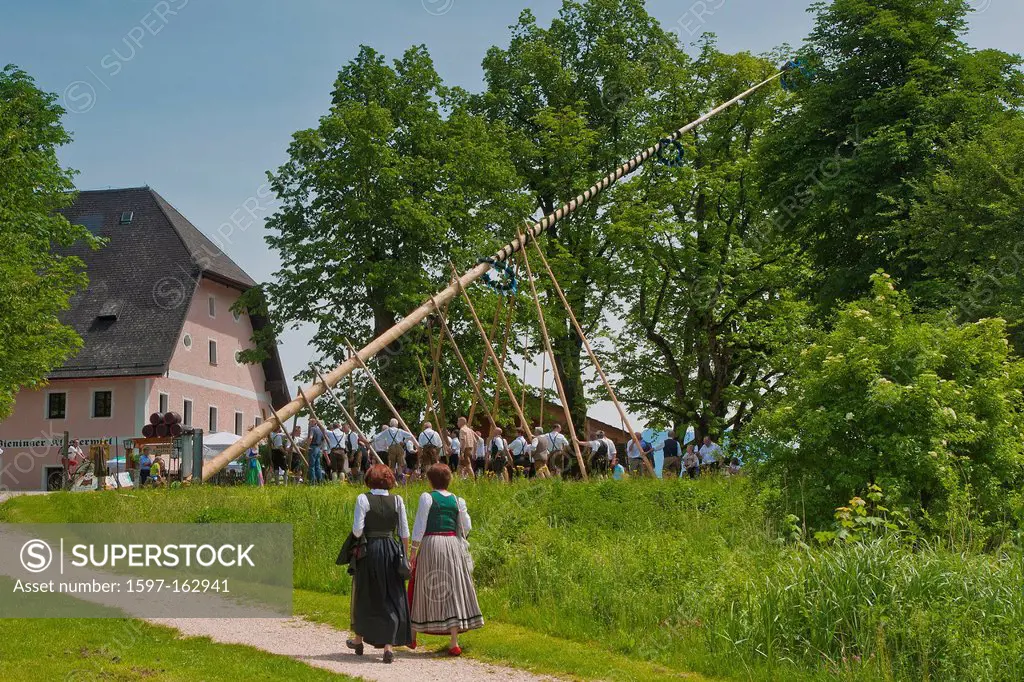 Bavaria, Europe, Upper Bavaria, custom, tradition, meadow, Höglwörth, Berchtesgaden area, customs, maypole, tree, put up, tradition, village, village ...