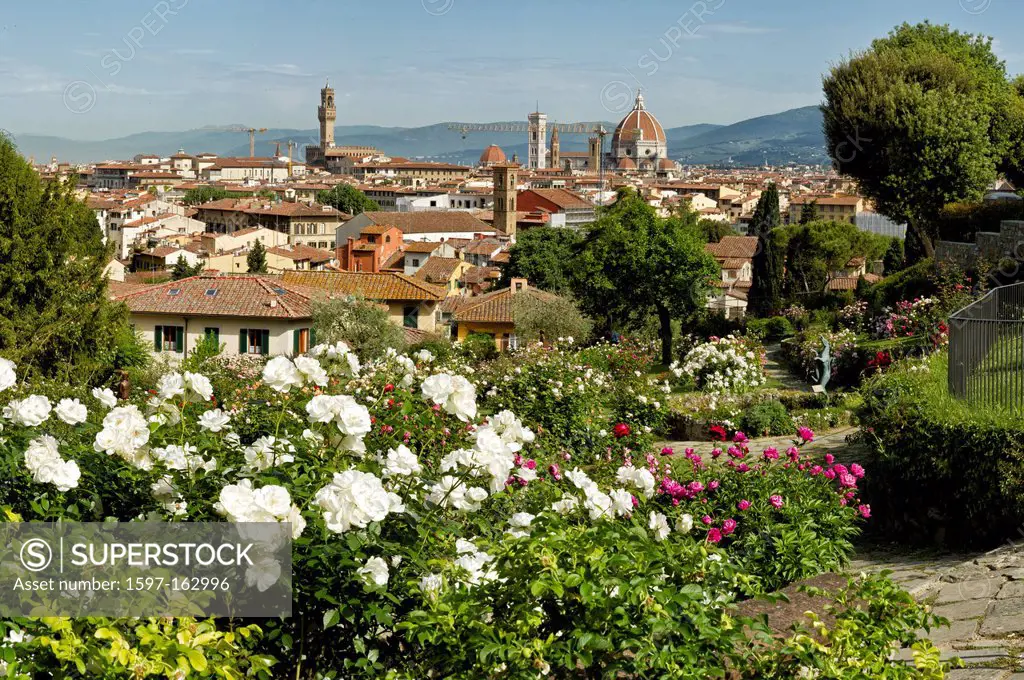 Florence, Italy, Europe, Tuscany, Toscana, town, city, overview, park, flowers