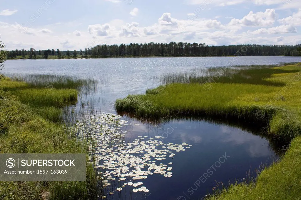 Scandinavia, Finland, north, Europe, Northern Europe, country, travel, vacation, wood, forest, wood, forest, lake, water, shore, grass