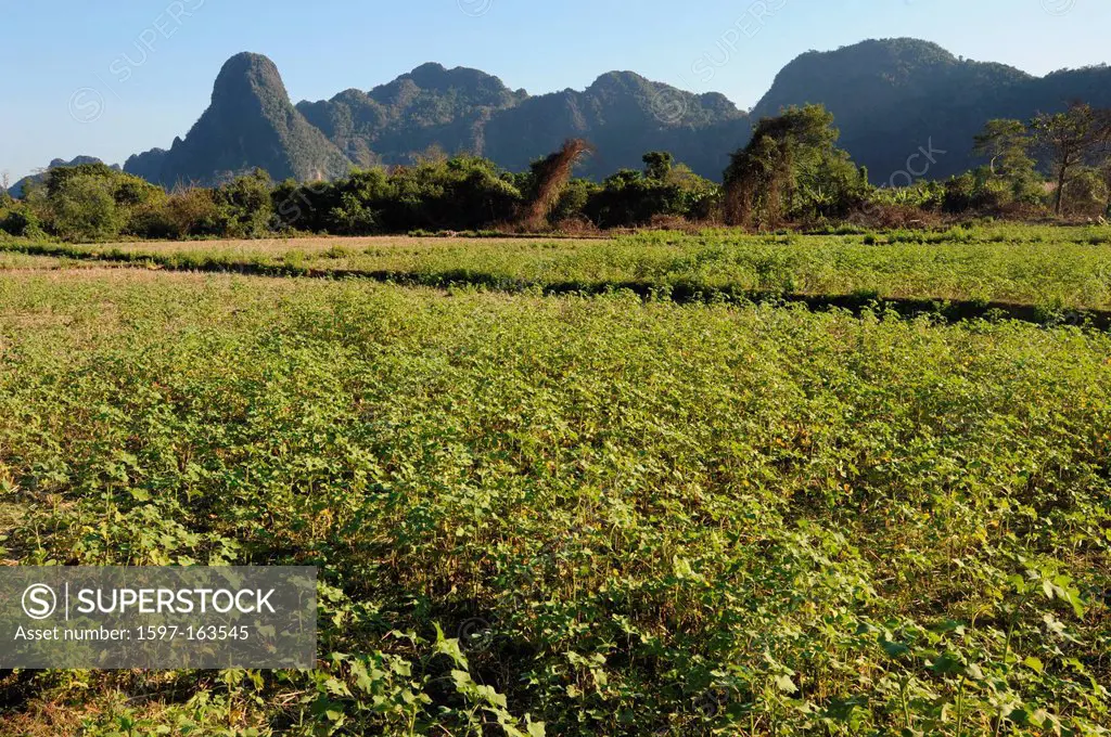 Laos, Asia, Vang Vieng, mountains, scenery, landscape, agriculture, field