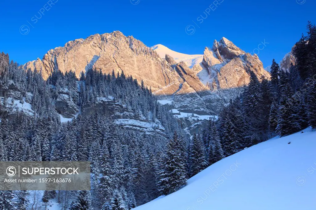 Alps, Alpstein, Alpstein area, Appenzell, view, mountain, mountain panorama, mountains, mountain panorama, trees, mountains, sky, massif, panorama, sn...