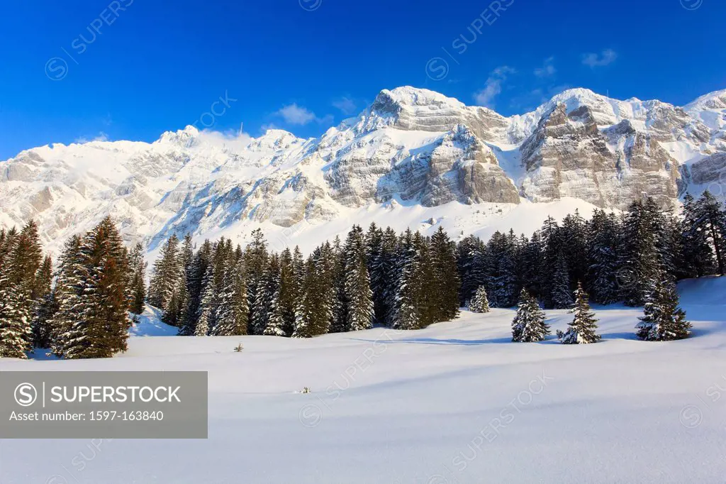 In 2502 m, Alp, Alps, Alpstein, Alpstein area, Appenzell, view, mountain, mountain panorama, mountains, mountain panorama, trees, mountains, sky, mass...
