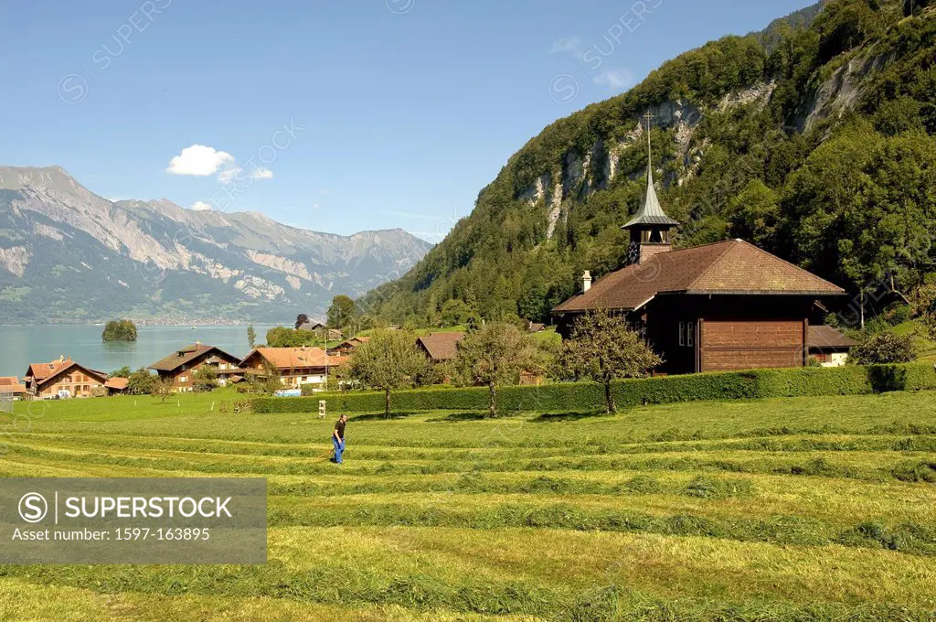Bernese Oberland, Iseltwald, canton Bern, Switzerland, Europe, church, field