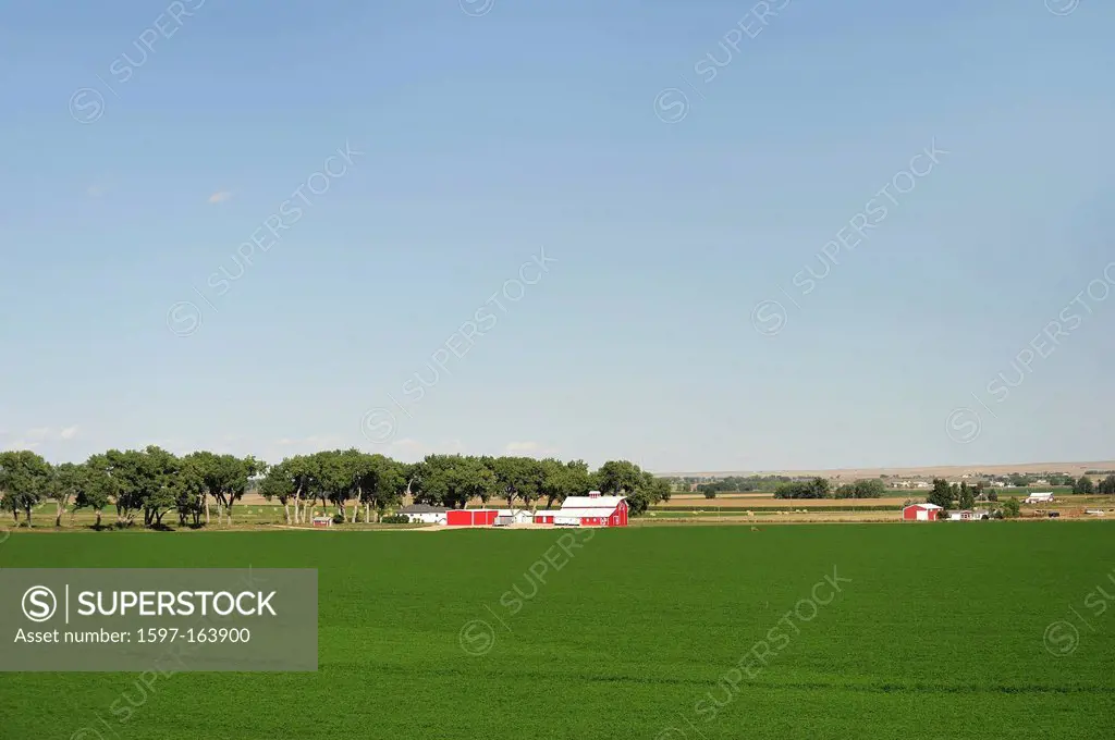 Farm, fields, agriculture, Greeley, Colorado, USA, United States, America, North America,