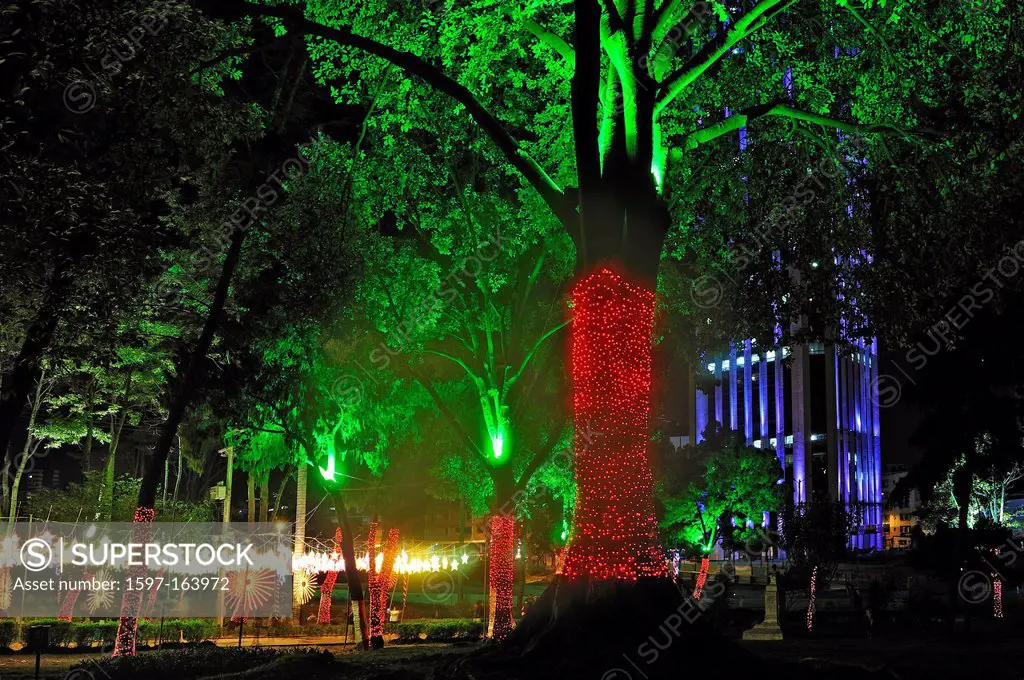 City, park, tree, downtown, lights, Christmas decorations, Bogota, Colombia, South America, night