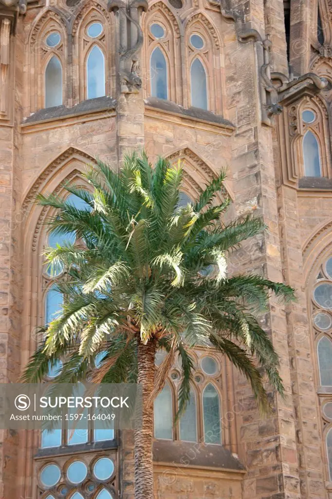 Spain, Barcelona, architecture, Sagrada Familia, basilica, Antoni Gaudi, Gaudi, church, landmark, detail, palm