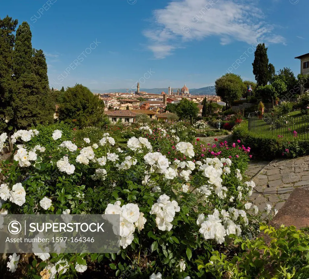 Florence, Italy, Europe, Tuscany, Toscana, town, city, overview, park, flowers