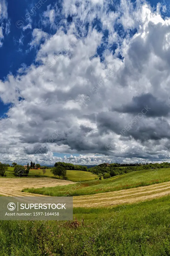 Murlo, Italy, Europe, Tuscany, Toscana, fields, scenery, green, clouds, hills