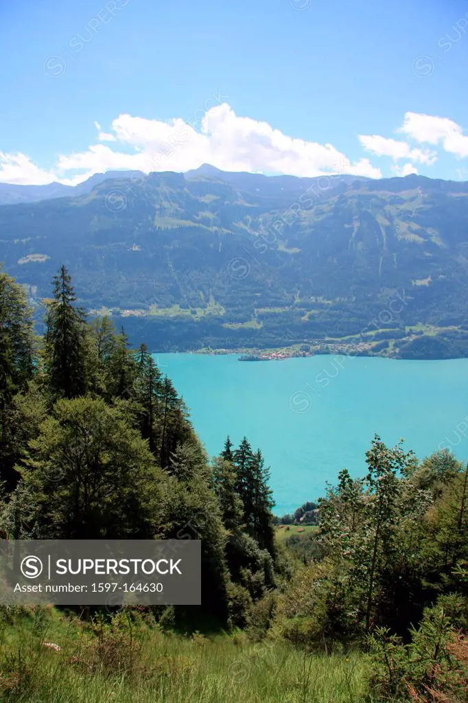 Switzerland, Europe, canton, Bern, Bernese Oberland, Brienzersee, lake, firs, Iseltwald, mountains,