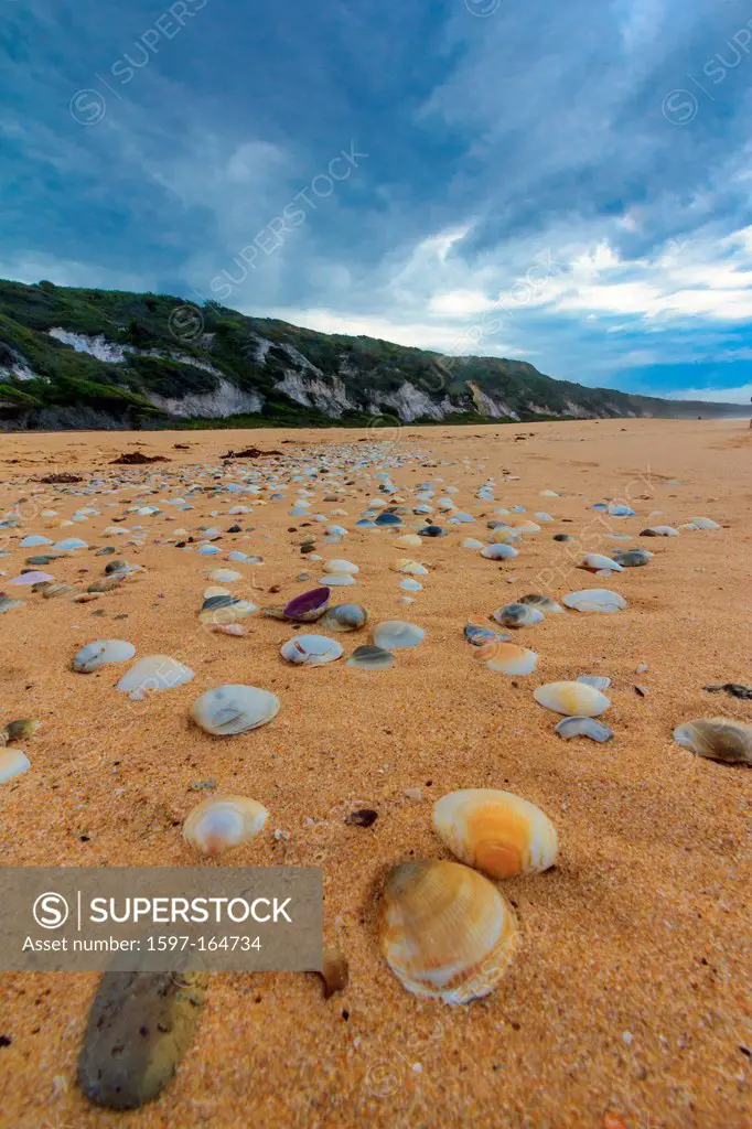 Australia, Far South Coast, NSW, New South Wales, Sapphire Coast, Tura Beach, sand, seashells, coast, beach