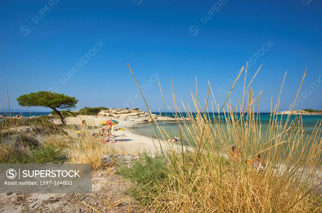 Chalkidiki, Greece, Halkidiki, Travel, vacation, Europe, European, day, Sithonia, sand beach, sand beaches, beach, seashore, beaches, seashores, coast...