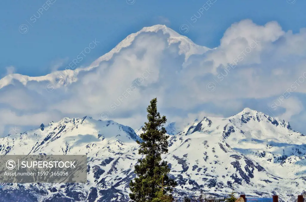 mt. McKinley, south side, view, Alaska, USA, United States, America, mountain, snow, tree