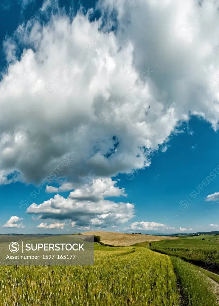 Isola d´Arbia, Italy, Europe, Tuscany, Toscana, scenery, agriculture, green hill, fields, clouds