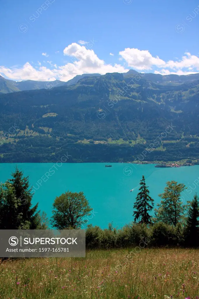 Switzerland, Europe, canton, Bern, Bernese Oberland, Brienzersee, Iseltwald, lake, firs, mountains, wood, forest,