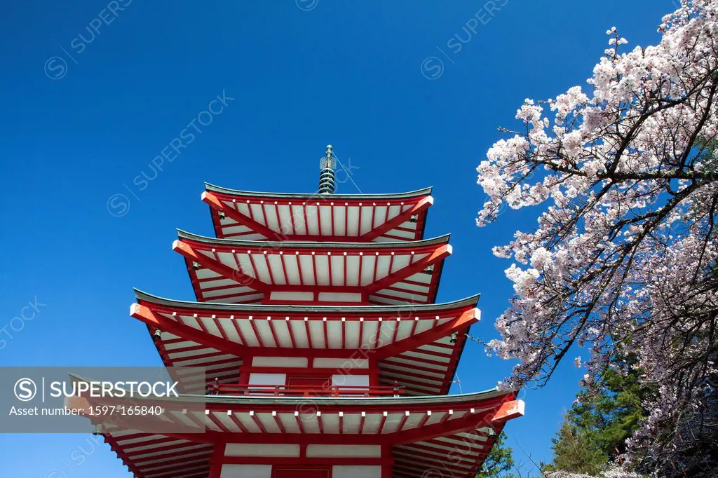Japan, Asia, holiday, travel, Cherry Blossoms, Pagoda, Arakura, Sengen, Shrine, temple, landscape, mountain, snow, spring, volcano