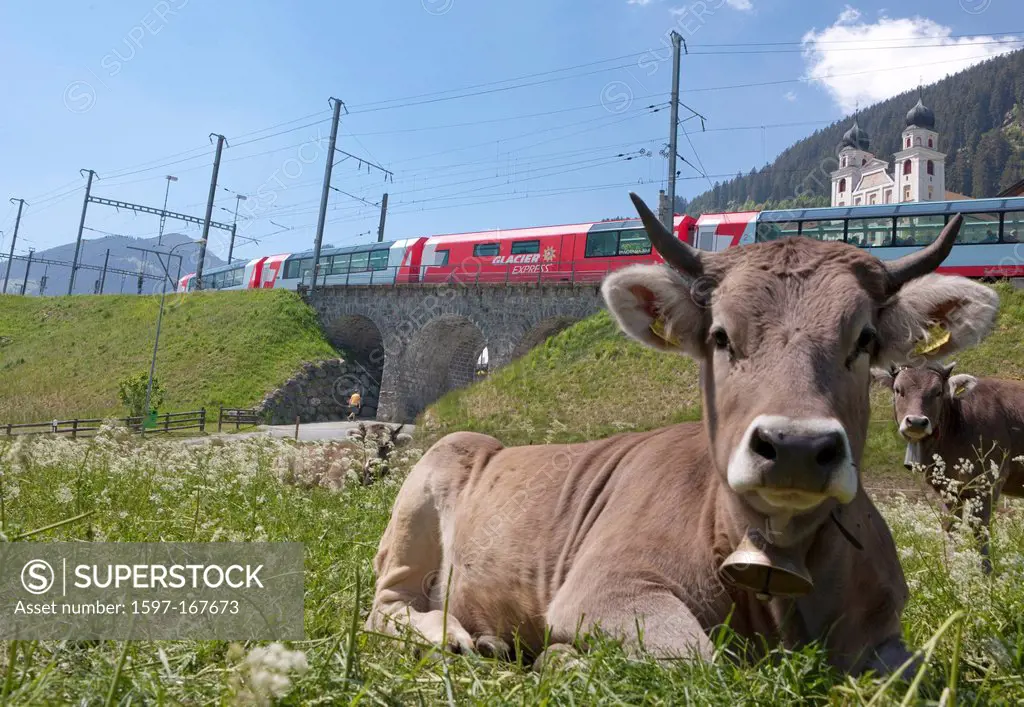 Road, Railway, train, railroad, canton, Graubünden, Grisons, Switzerland, Europe, Glacier express, Disentis, meadow, cow