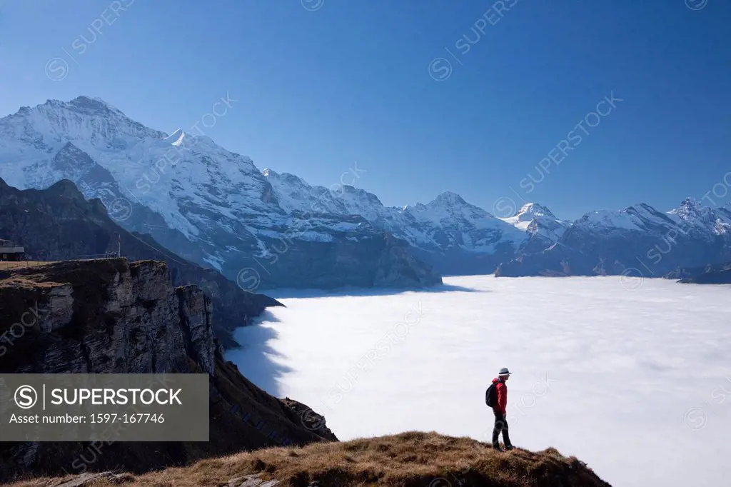 Switzerland, Europe, Männlichen, mountain, mountains, canton Bern, Bernese Alps, Switzerland, Europe, Bernese Oberland, Jungfrau, Alps, fog, sea of fo...