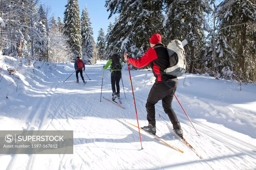 cross_country skiing, ski, tourism, holidays, winter, snow, winter sports, France, GTJ, grande Traversée du Jura, Jura, group, wood, forest, snow