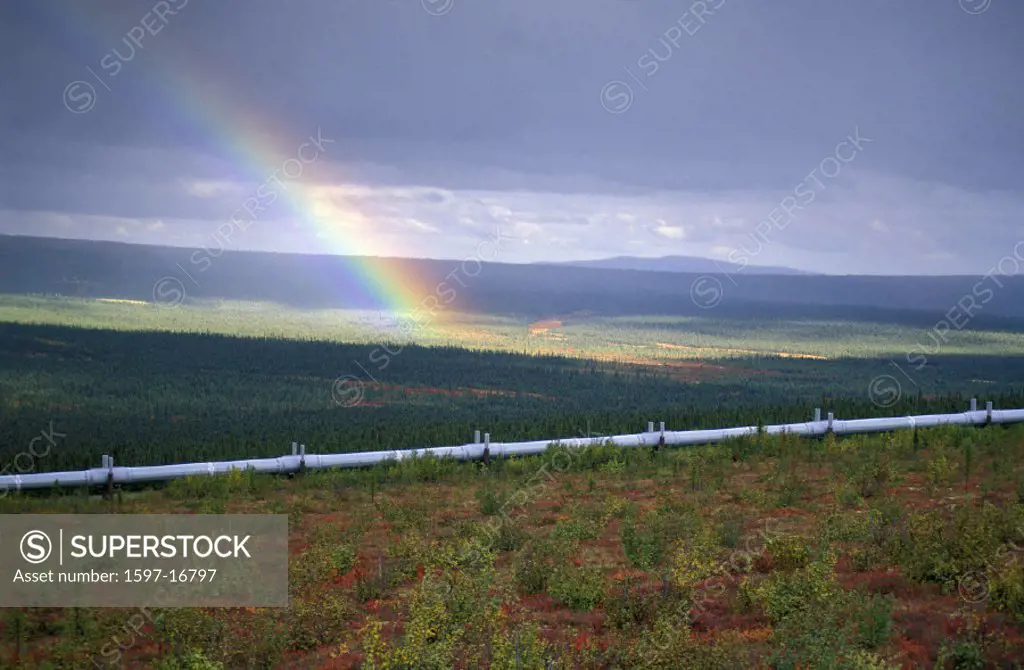 Alaska, Dalton Highway, Trans Alaska Pipeline, USA, America, United States, tundra, environment, autumn, Industry, o