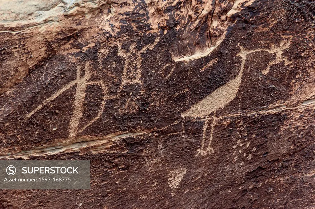 Petrified Forest, rock formation, National Park, Petroglyph, rock drawing, s