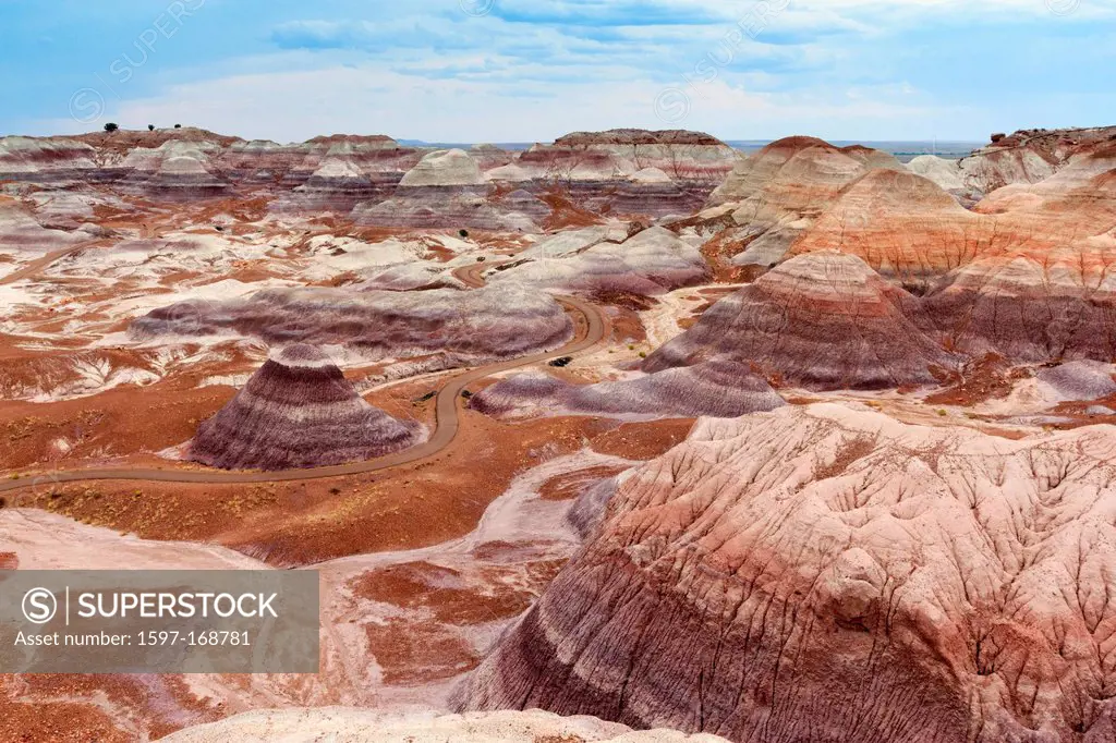 Petrified Forest, rock formation, National Park,