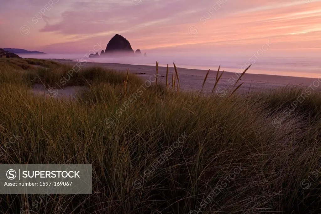 USA, Haystack Rock, seastack, OR, Oregon, coast, coastline, sea stack, beach, sea, ocean, Pacific Ocean, fog, haze, mist, sunset, dune, dune grass, Ca...