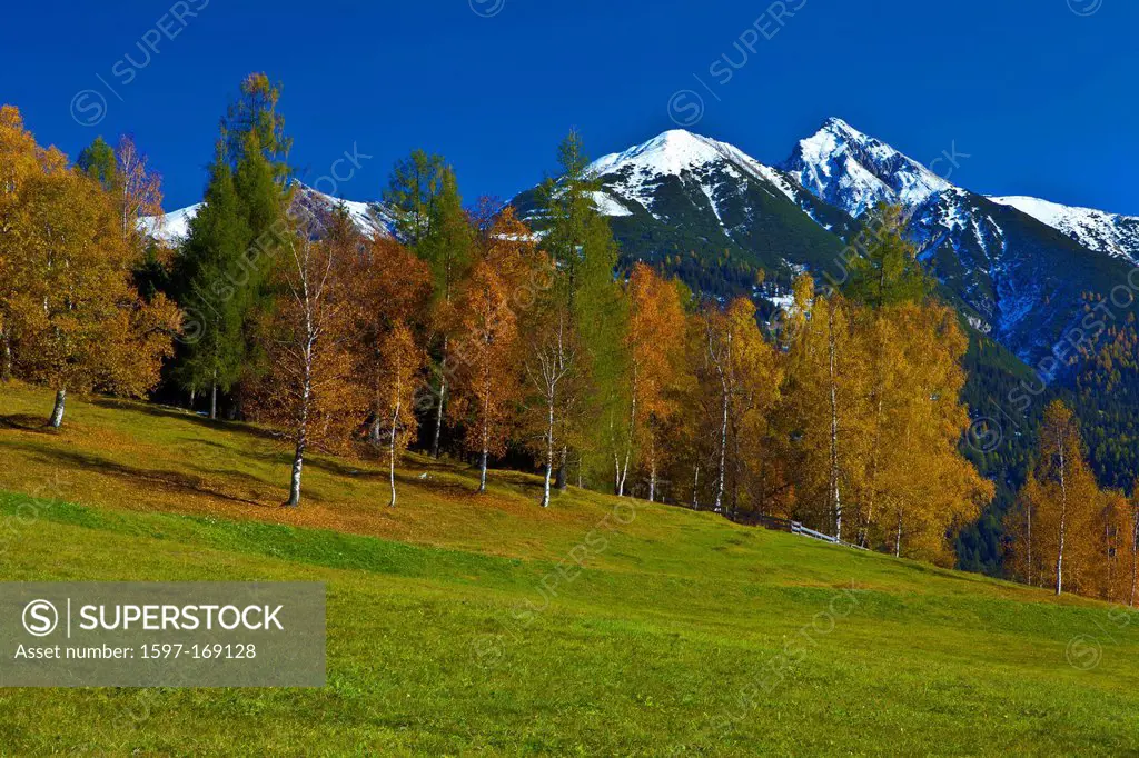 Austria, Europe, Tyrol, Tirol, Seefeld, Reither Spitzer, Reither, point, peak, Karwendel, mountain, meadow, trees, birches, autumn, Yellow, blue, whit...