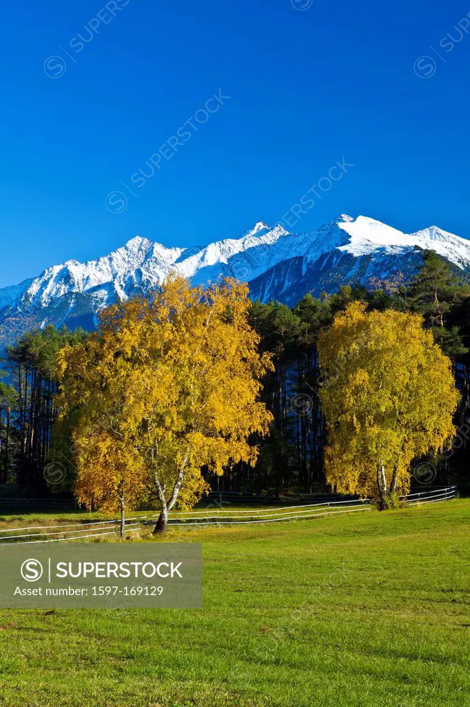 Austria, Europe, Tyrol, Tirol, Mieming, chain, plateau, Obsteig, autumn, birches, Yellow, green, blue, white, colorful, wood, forest, mountains, Stuba...