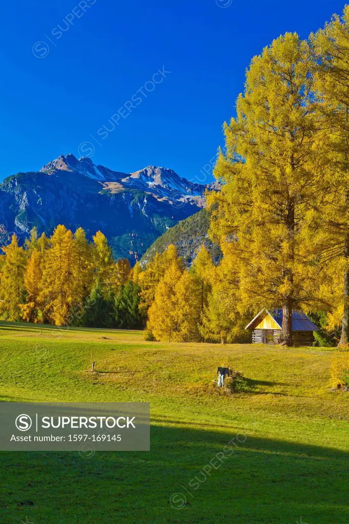 Austria, Europe, Tyrol, Tirol, Mieming, chain, plateau, Obsteig, larch meadows, Holzleiten, Stadel, larches, Yellow, autumn, sky, trees, mountains, Le...