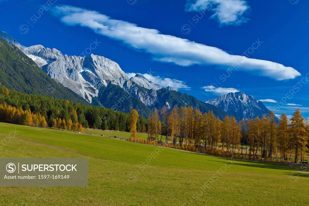 Austria, Europe, Tyrol, Tirol, Mieming, chain, plateau, Obsteig, meadow, wood, forest, larches, spruces, mountains, mountains, Mieming, chain, Hochpla...