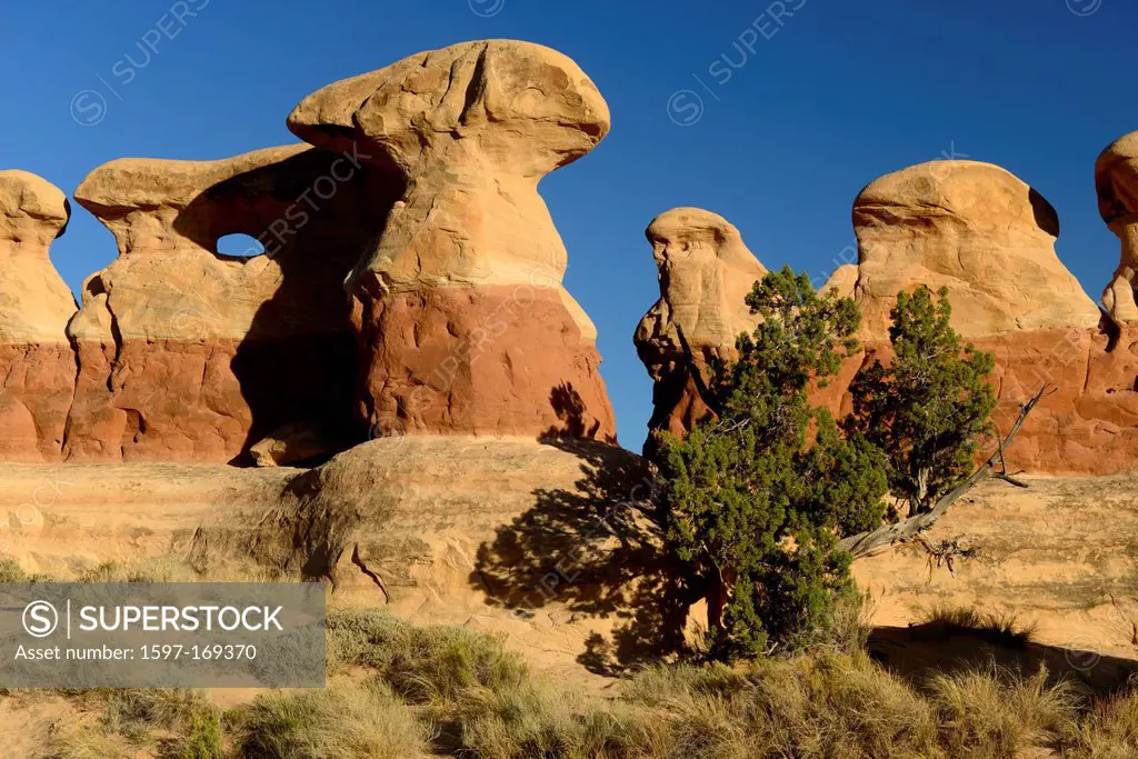 America, USA, United States, Colorado Plateau, Utah, Devils Garden, Grand Staircase, National Monument, sandstone, arch, formation, cliff, juniper, la...
