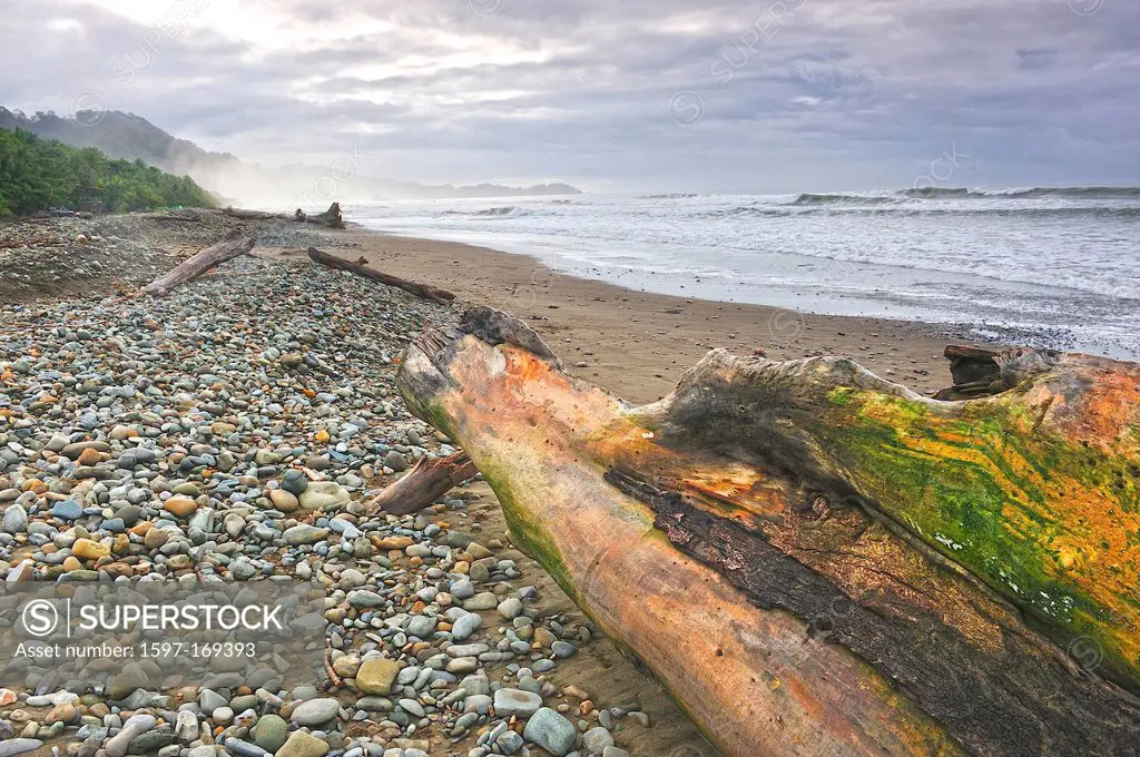Central America, Costa Rica, pebble beach, pacific coast, rugged, surfing, driftwood