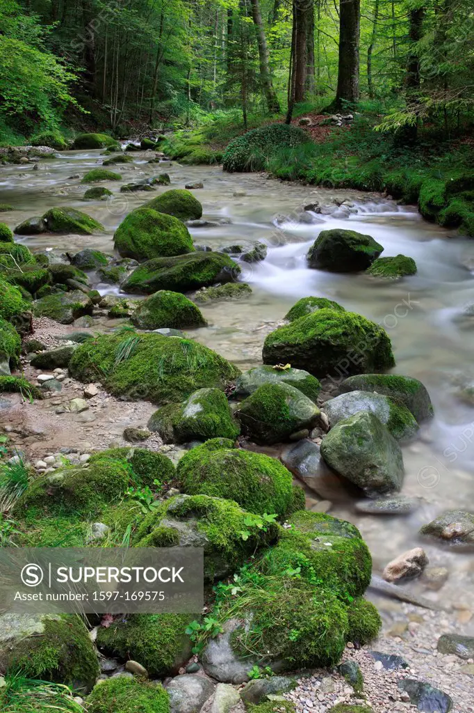 Aa, Aa brook, brook, brook bed, movement, river, flow, Kempten, Kemptner ravine, Kemptnertobel, moss, Switzerland, Europe, stone, stones, ravine, wate...