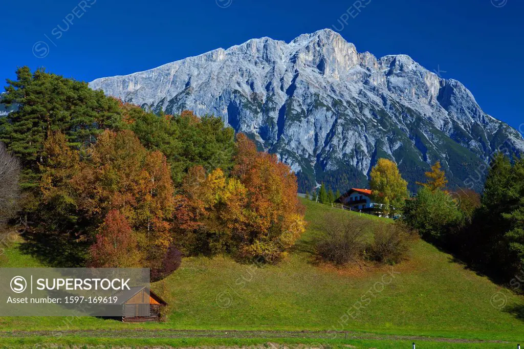 Austria, Europe, Tyrol, Tirol, Mieming, chain, plateau, Wildermieming, autumn, Stadel, shark, mountain, summit, peak, mountaintop, rest, rest, trees, ...