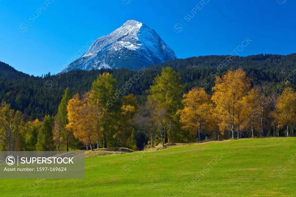 Austria, Europe, Tyrol, Tirol, Seefeld, rest, rest, meadow, birches, mountain, Mieming, chain, wood, forest, autumn, birches, Yellow, green, blue, sno...