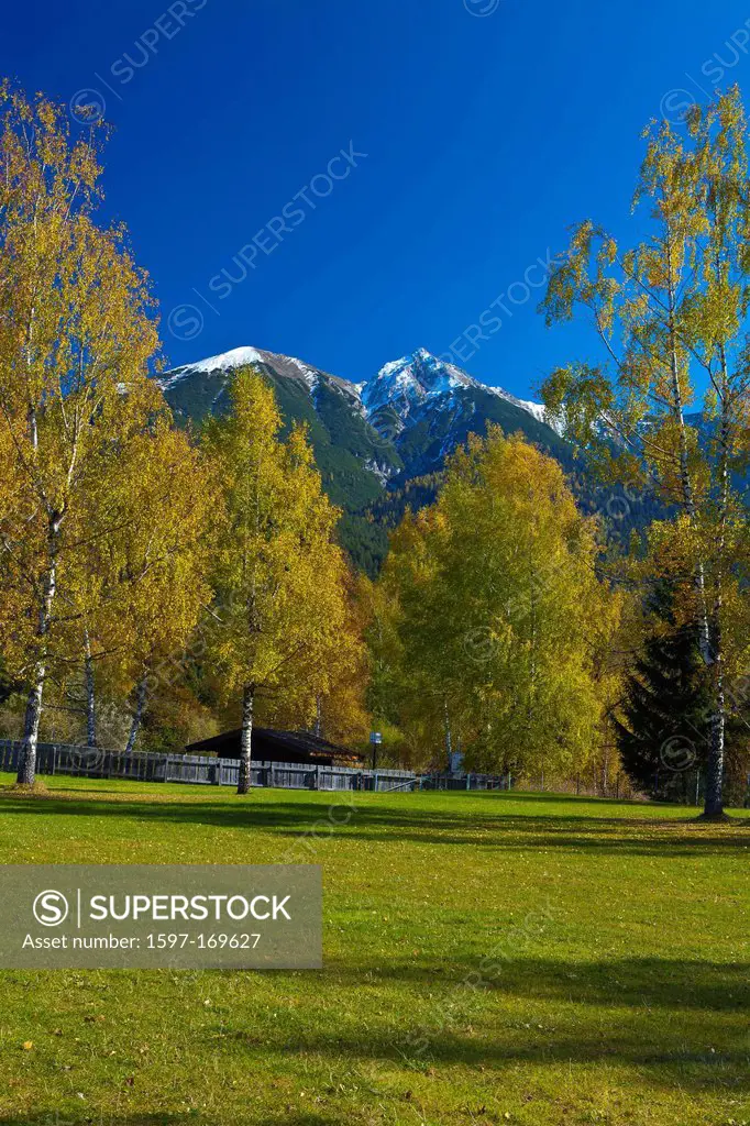 Austria, Europe, Tyrol, Tirol, Seefeld, Reither Spitzer, Reither, point, peak, mountain, Karwendel, meadow, birches, autumn, high, Yellow, blue, sky, ...