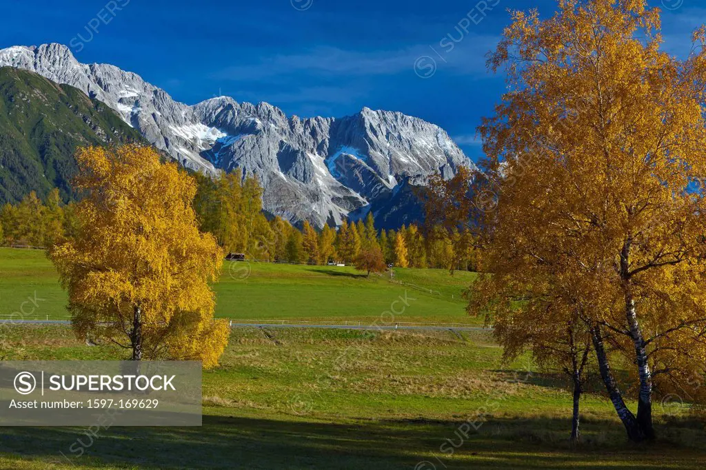 Austria, Europe, Tyrol, Tirol, Mieming, chain, plateau, Obsteig, autumn, birches, Yellow, blue, green, snow, meadow, mountains, Mieming, chain, Hochpl...