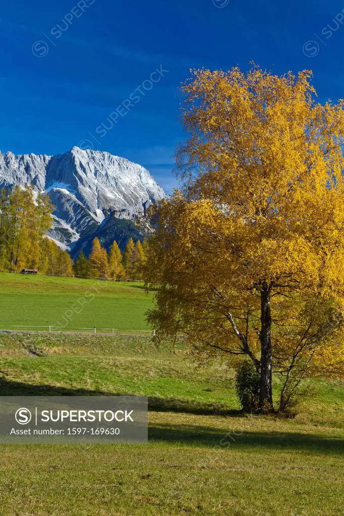 Austria, Europe, Tyrol, Tirol, Mieming, chain, plateau, Obsteig, birch, Yellow, blue, green, sky, mountain, summit, peak, Hochplattig, Mieming, chain,...